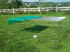 Xxxl rabbit guinea for sale  Delivered anywhere in UK
