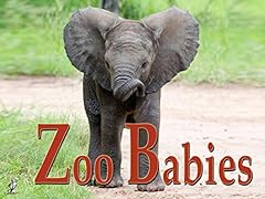 German zoo for sale  Delivered anywhere in USA 