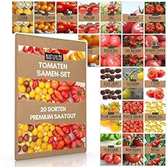20er tomaten samen gebraucht kaufen  Wird an jeden Ort in Deutschland