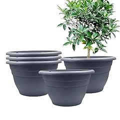 Rootrimmer plant pots for sale  Delivered anywhere in USA 