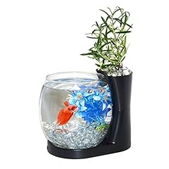 Elive betta fish for sale  Delivered anywhere in USA 