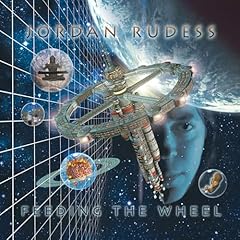 Feeding the wheel usato  Spedito ovunque in Italia 