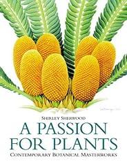 Passion plants contemporary for sale  Delivered anywhere in UK