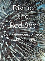 Diving red sea for sale  Delivered anywhere in UK