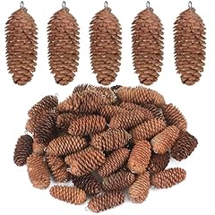 Canlierr pieces natural for sale  Delivered anywhere in USA 