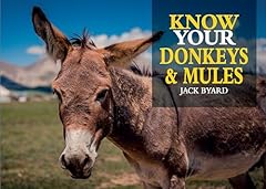 Know donkeys mules for sale  Delivered anywhere in USA 
