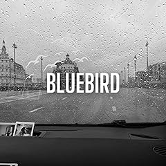 Bluebird, gebraucht gebraucht kaufen  Wird an jeden Ort in Deutschland