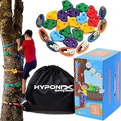 Hyponix ninja tree for sale  Delivered anywhere in USA 