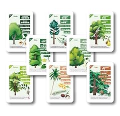 Baum quartett 32 gebraucht kaufen  Wird an jeden Ort in Deutschland