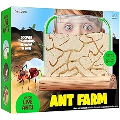 Dan darci ant for sale  Delivered anywhere in USA 