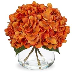 Hollyone orange fall for sale  Delivered anywhere in USA 