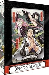 Demon slayer limited usato  Spedito ovunque in Italia 