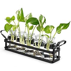 Mkono propagation stations for sale  Delivered anywhere in USA 