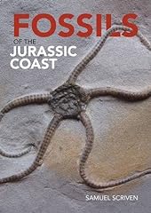 Fossils jurassic coast for sale  Delivered anywhere in UK