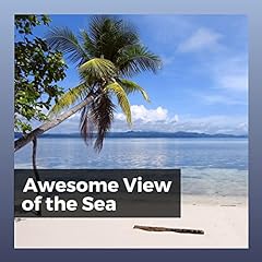 Awesome view sea for sale  Delivered anywhere in USA 