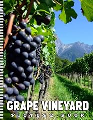 Picture grape vineyard for sale  Delivered anywhere in UK