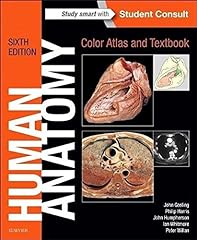 Human anatomy color for sale  Delivered anywhere in Ireland