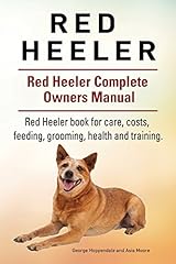 Red heeler dog. for sale  Delivered anywhere in USA 