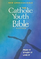 The catholic youth d'occasion  Livré partout en France
