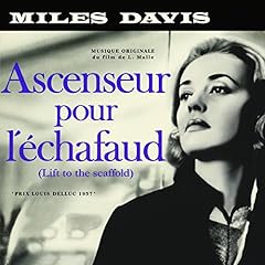 Ascenseur echafaud . d'occasion  Livré partout en Belgiqu