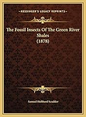 Fossil insects green for sale  Delivered anywhere in USA 