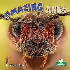 Amazing ants for sale  Delivered anywhere in USA 