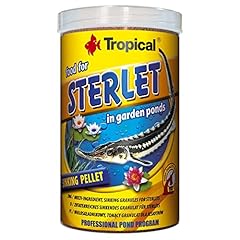 Tropical sterlet 1er usato  Spedito ovunque in Italia 