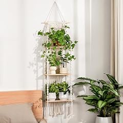 Bamworld plant wall for sale  Delivered anywhere in USA 