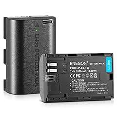 Enegon e6n batterie usato  Spedito ovunque in Italia 