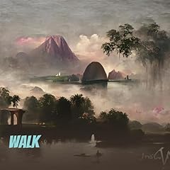 Walk for sale  Delivered anywhere in USA 