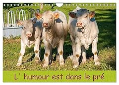 Humour pré calendrier d'occasion  Livré partout en Belgiqu