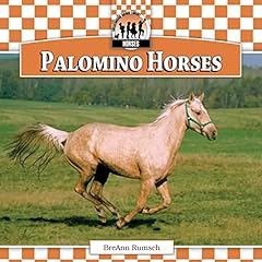 Palomino horses d'occasion  Livré partout en France