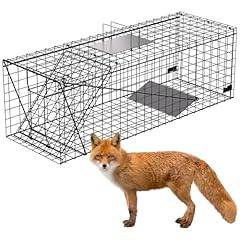 Vasalaid live animal for sale  Delivered anywhere in USA 