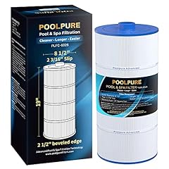 Poolpure spa filter for sale  Delivered anywhere in USA 