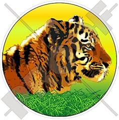 Roi tigre chat d'occasion  Livré partout en France