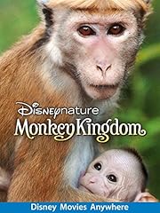 Monkey kingdom for sale  Delivered anywhere in UK