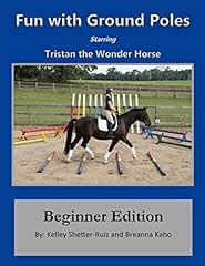 Tristan wonder horse for sale  Delivered anywhere in UK