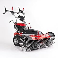 Ama spazzatrice giardino usato  Spedito ovunque in Italia 