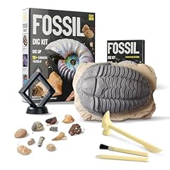 Play aha fossil for sale  Delivered anywhere in USA 
