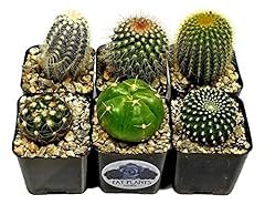 Fatplants cactus plants for sale  Delivered anywhere in USA 