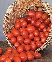 Sonoma grape tomato for sale  Delivered anywhere in USA 