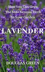 Lavender grow sensual for sale  Delivered anywhere in USA 
