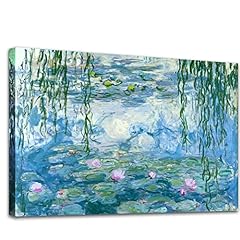 Large water lilies for sale  Delivered anywhere in USA 