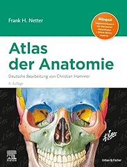 Netter atlas anatomie gebraucht kaufen  Wird an jeden Ort in Deutschland