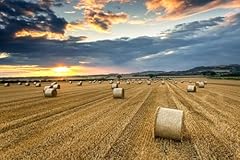Jigsaw puzzles adults for sale  Delivered anywhere in UK
