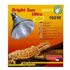 Lucky reptile bright gebraucht kaufen  Wird an jeden Ort in Deutschland