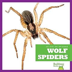 Wolf spiders for sale  Delivered anywhere in USA 