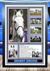 Desert orchid horse for sale  Delivered anywhere in UK