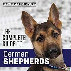Complete guide german for sale  Delivered anywhere in USA 