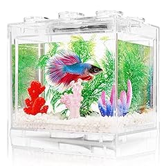 Oltraman small betta for sale  Delivered anywhere in USA 